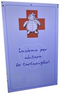 ospedale tartarughe